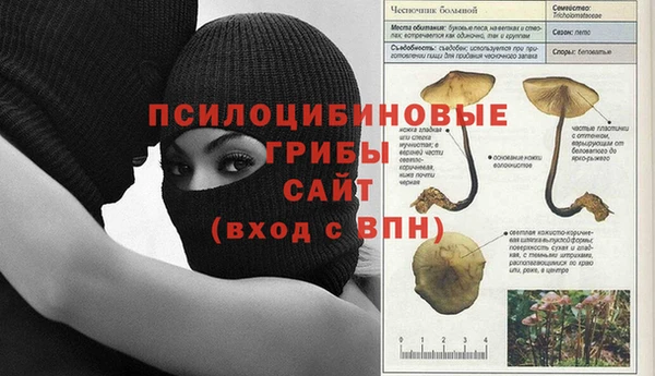 эйфоретик Бугульма