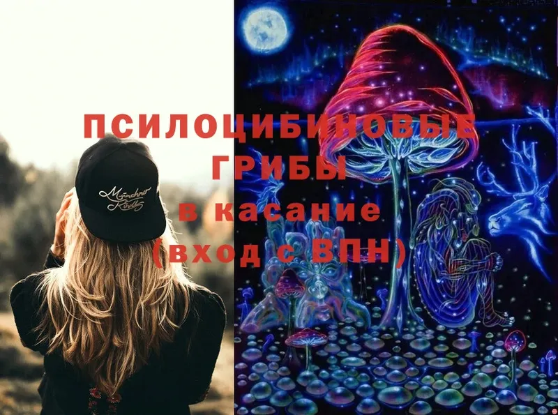 Галлюциногенные грибы Psilocybine cubensis  Татарск 